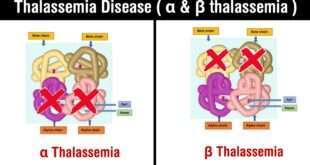 Best Institute for Diploma in Pathology