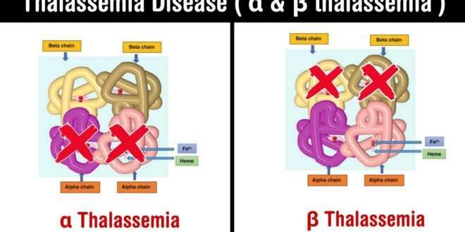 Best Institute for Diploma in Pathology