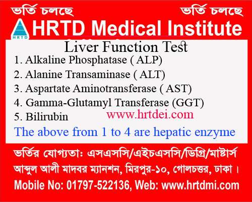 Liver Function Test