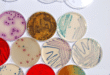Urine Culture and Sensitivity Test