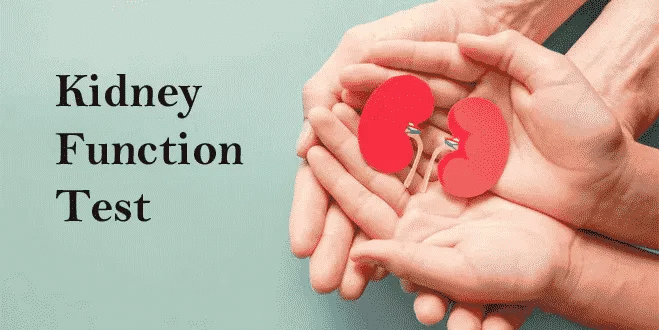 Kidney Function Test Training
