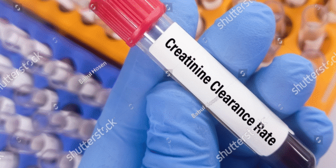 Creatinine Clearance Rate Test