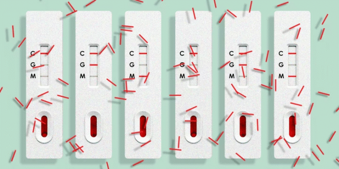 Antibody Test