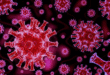 Coronavirus COVID-19