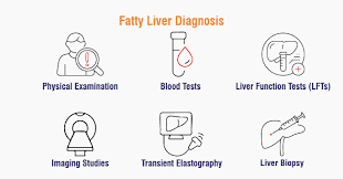 Diagnosis of Fatty Liver