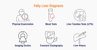 Diagnosis of Fatty Liver — A Complete Guide by HRTD Medical Institute 2 image 2