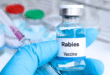 Rabies Vaccination Center