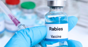 Rabies Vaccination Center