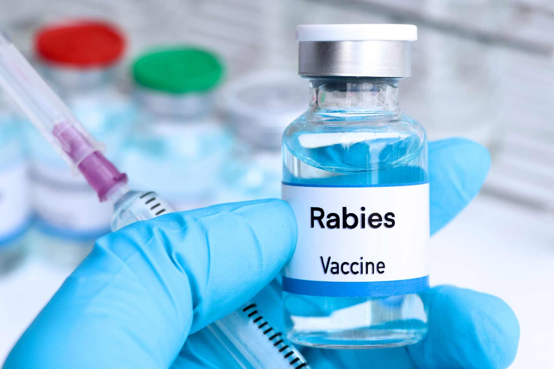 Best Rabies Vaccination Center 01797522136