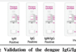 Dengue IgG and IgM Test