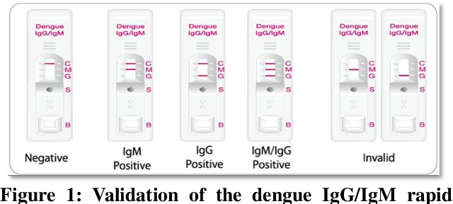 Dengue IgG and IgM Test