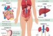 10 Habits for a Healthier Heart: A Professional Guide to Cardiovascular Wellness