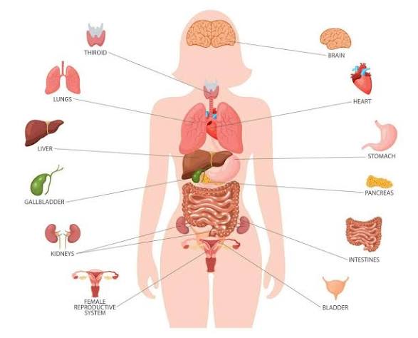 Best Pathology Course in Mirpur 4 image 4