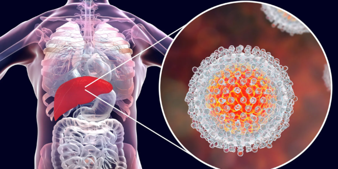 Hepatitis C Virus