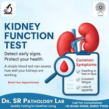 Kidney Function Test in Early Stage: Importance, Methods, and Clinical Significance 2 image 5