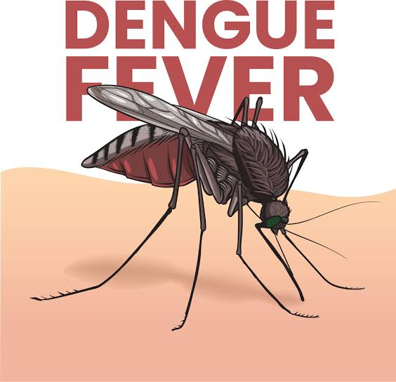সাধারণ জ্বর বনাম ডেঙ্গু